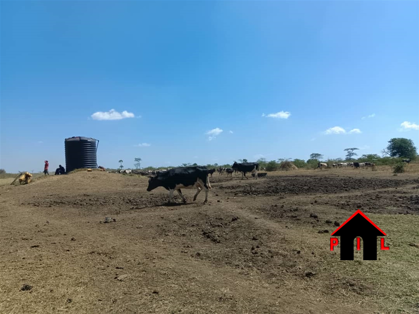 Farm for sale in Bunyoro Kiryandongo
