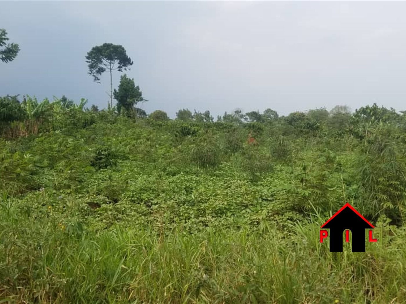 Agricultural Land for sale in Nyenga Buyikwe