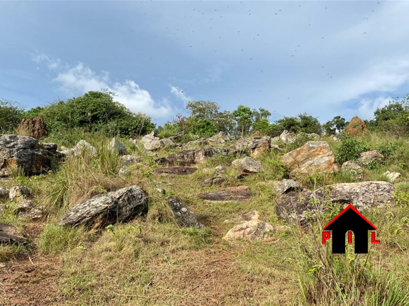 Commercial Land for sale in Nkokonjeru Buyikwe