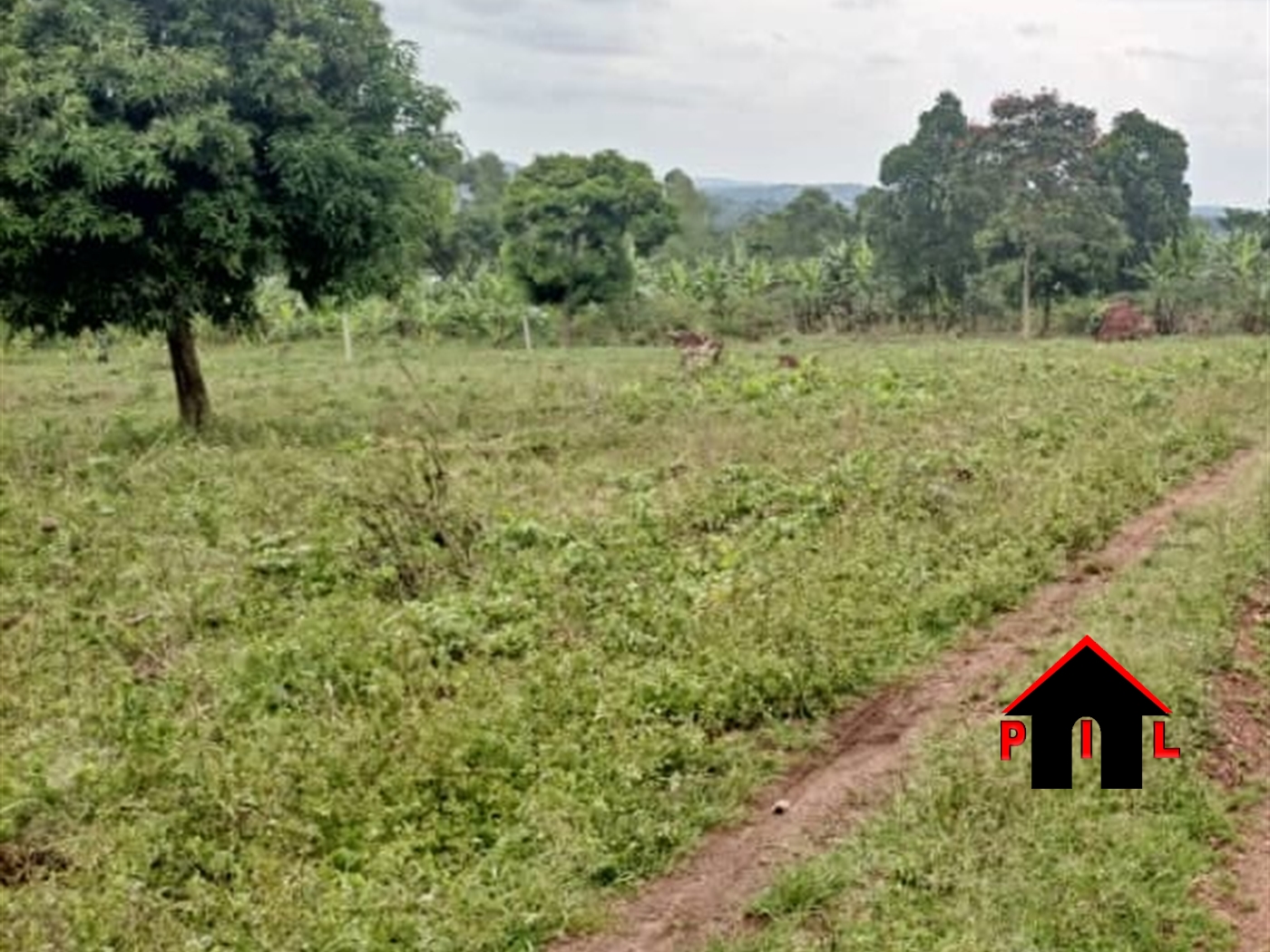 Agricultural Land for sale in Nawabango Luweero