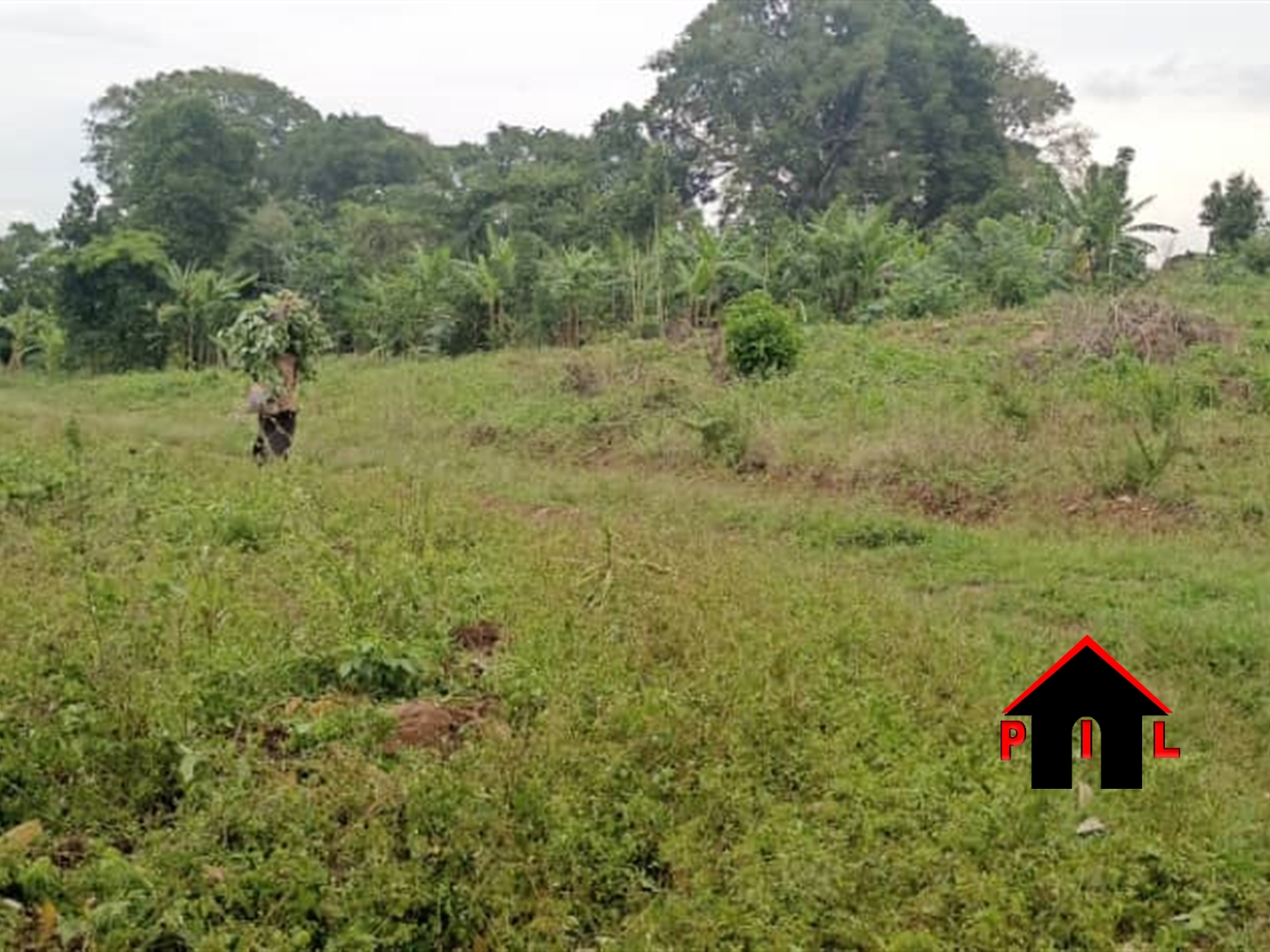 Residential Land for sale in Buyego Luweero