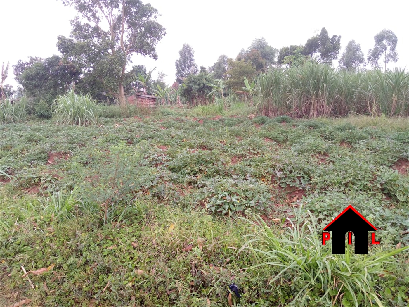 Agricultural Land for sale in Nkokonjeru Buyikwe