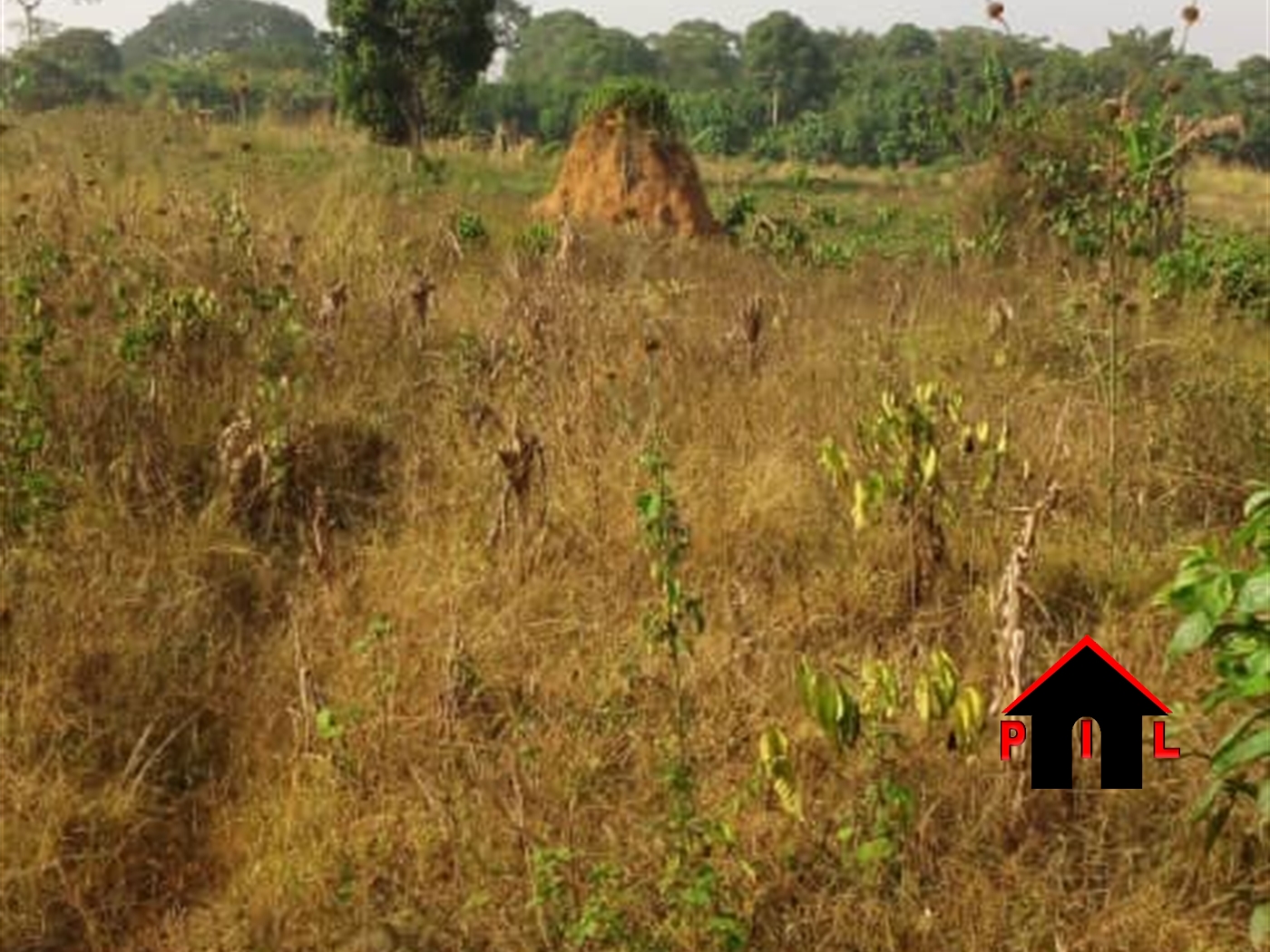 Agricultural Land for sale in Wakyato Nakaseke