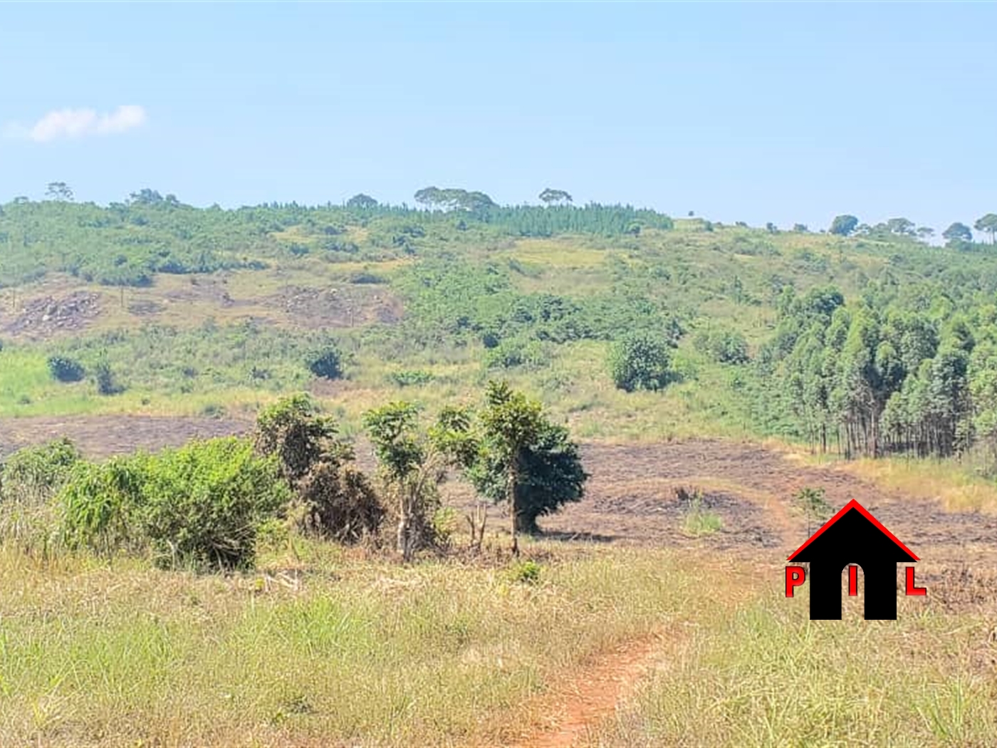 Agricultural Land for sale in Golomolo Buyikwe