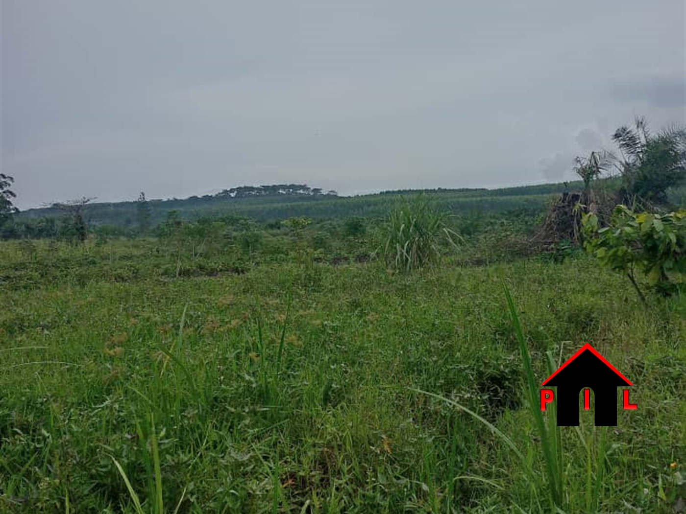 Commercial Land for sale in Namawojjolo Mukono