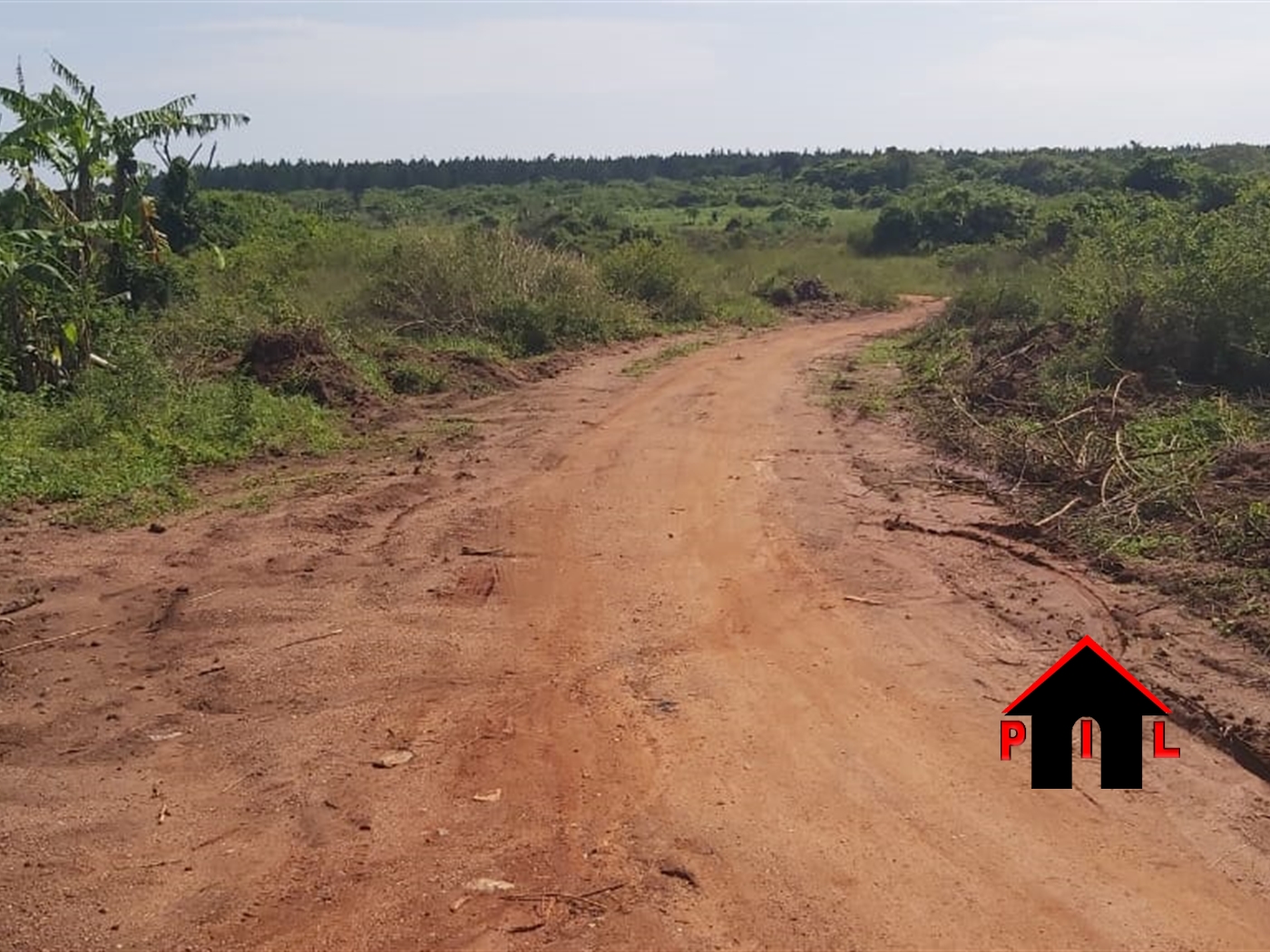 Agricultural Land for sale in Kankoba Kiryandongo