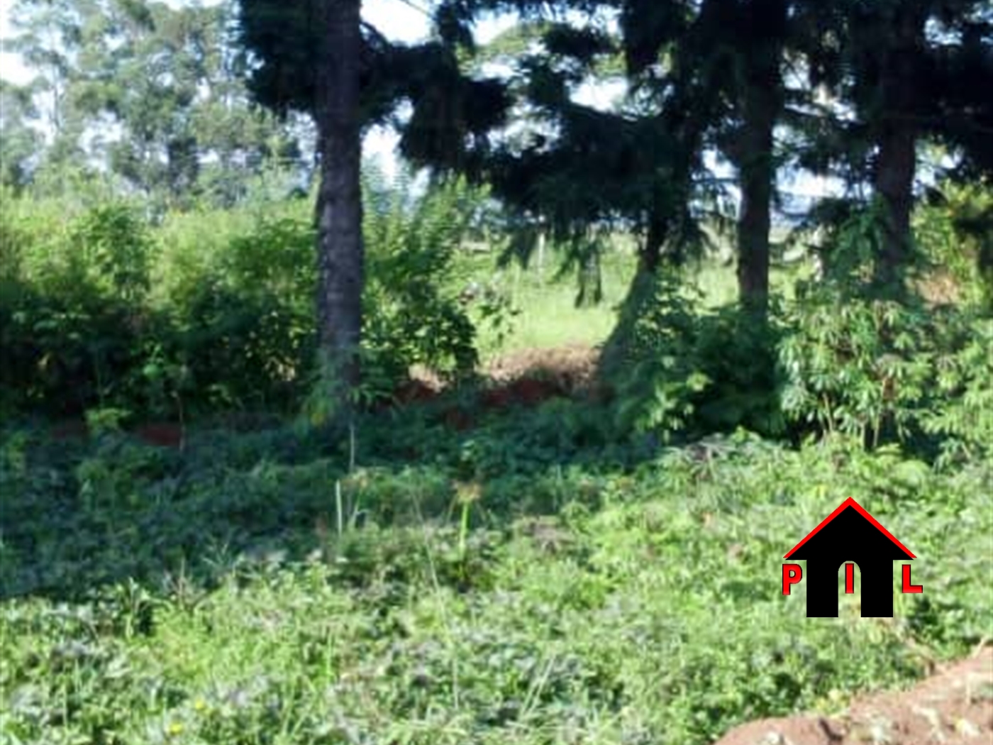 Commercial Land for sale in Kajjansi Wakiso