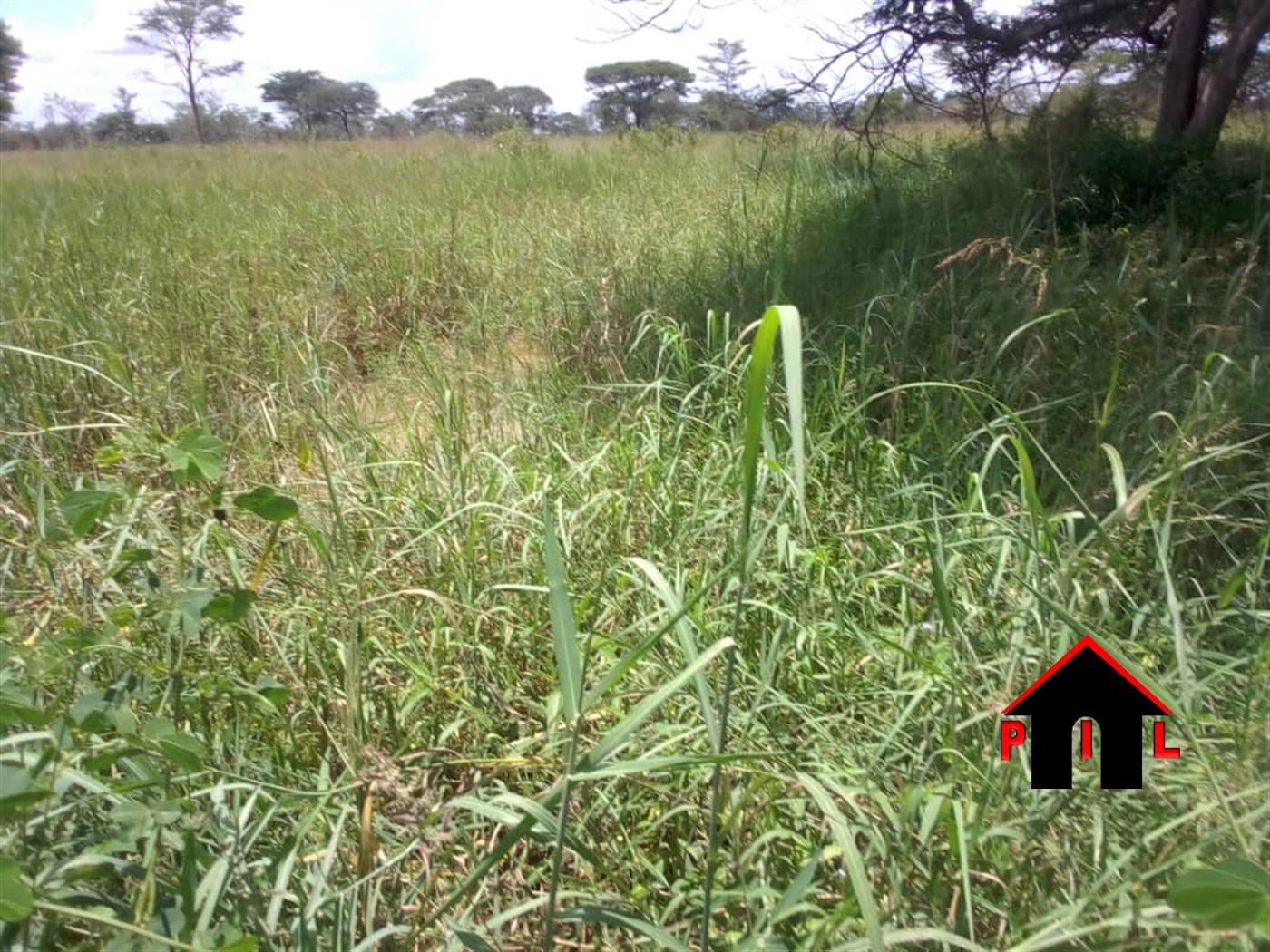 Agricultural Land for sale in Kigalama Mubende