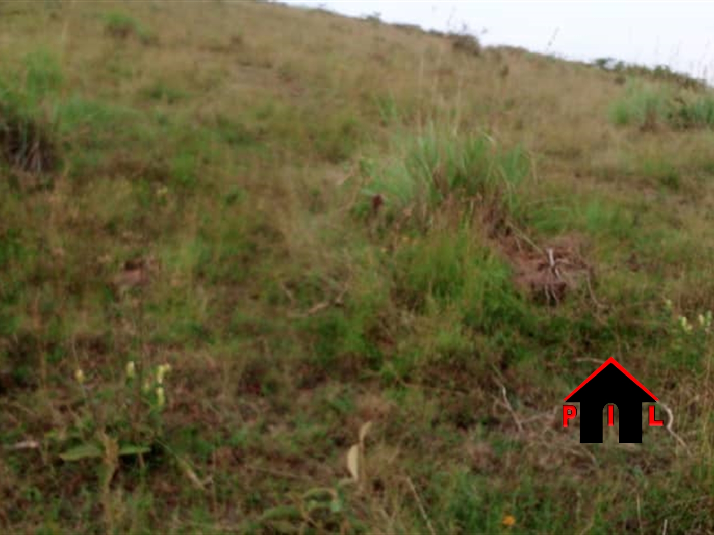 Residential Land for sale in Nyakabungo Kanungu