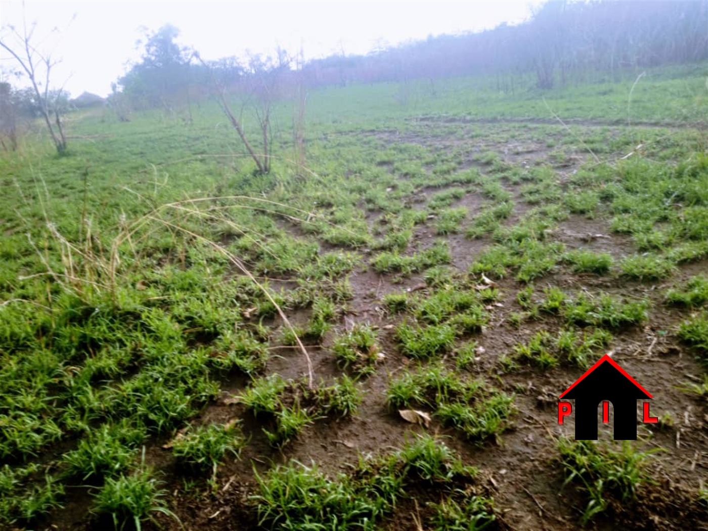 Agricultural Land for sale in Tooro Kabarole