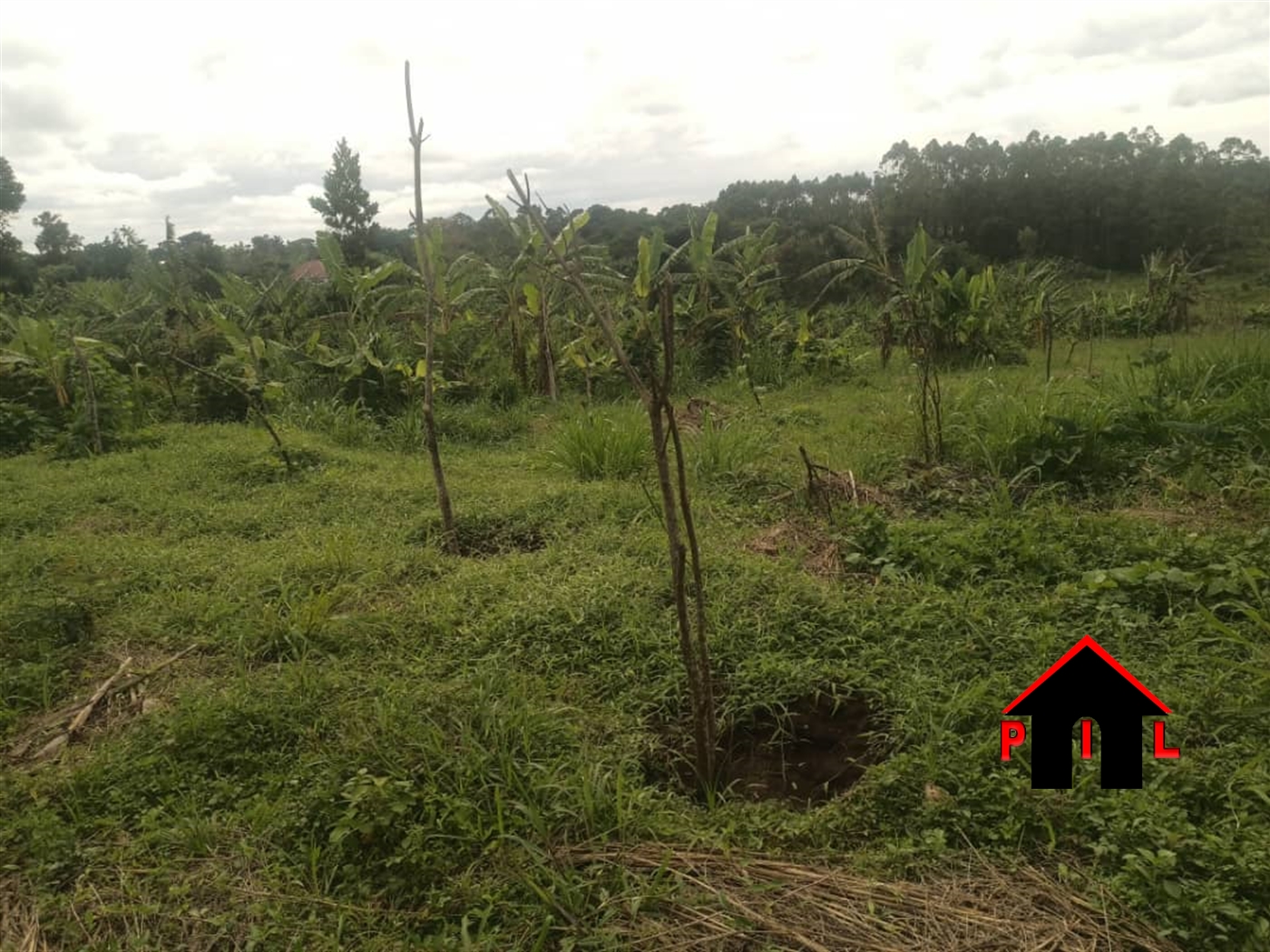 Commercial Land for sale in Kilolo Wakiso