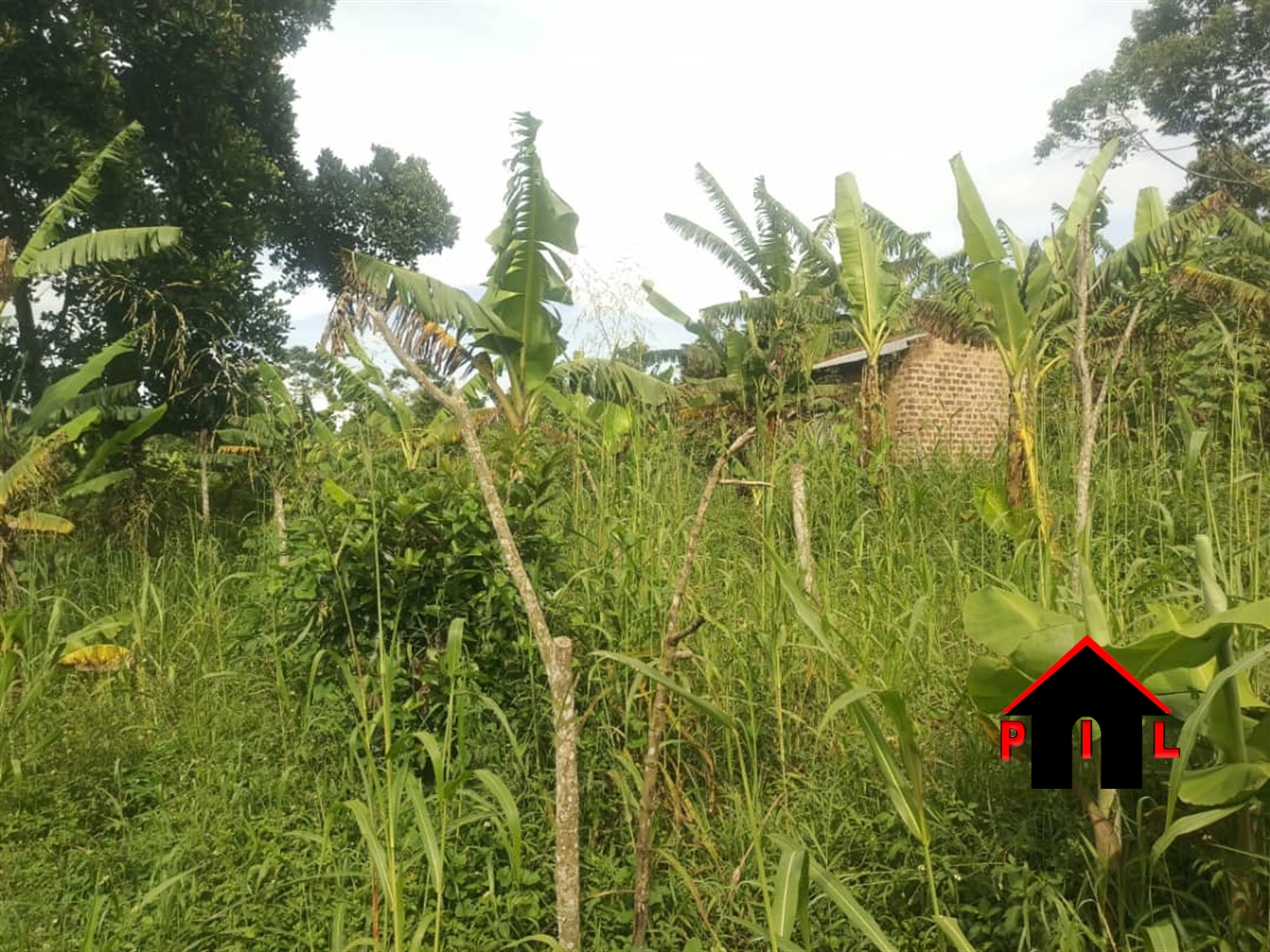 Commercial Land for sale in Kilolo Wakiso