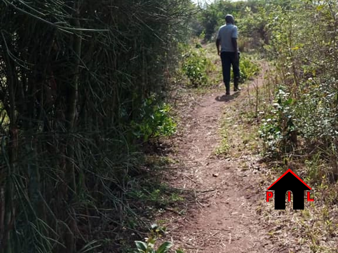 Agricultural Land for sale in Katugo Luweero