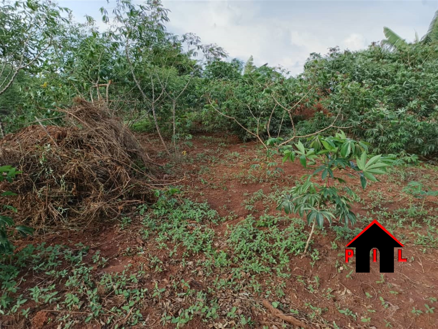 Agricultural Land for sale in Ziloobwe Luweero