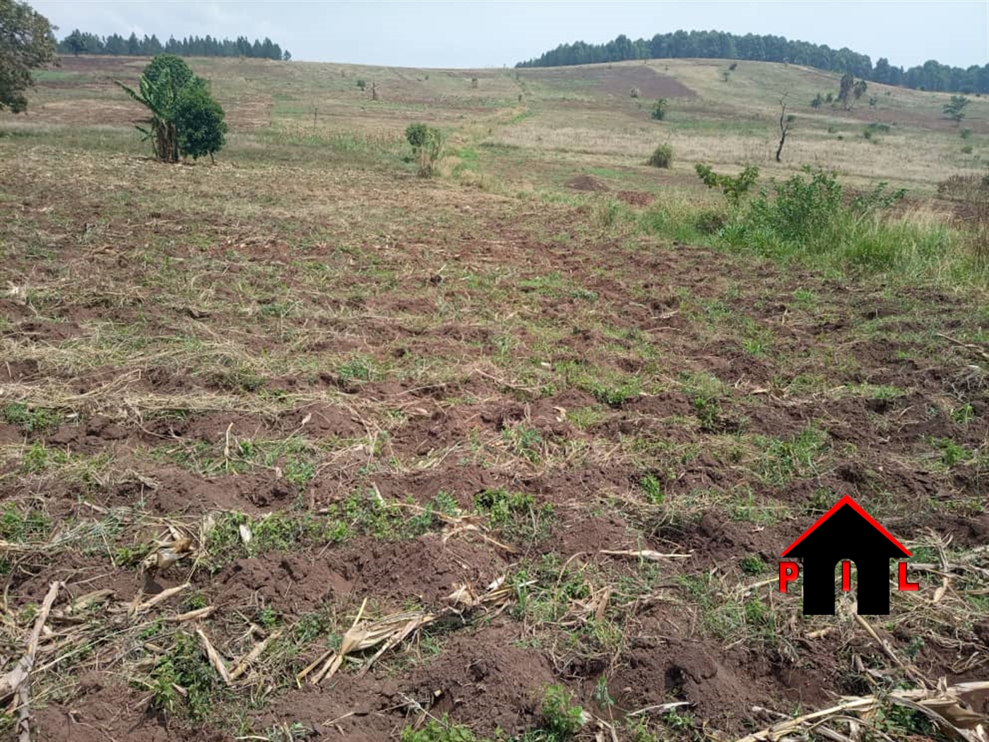 Agricultural Land for sale in Kassanda Mubende