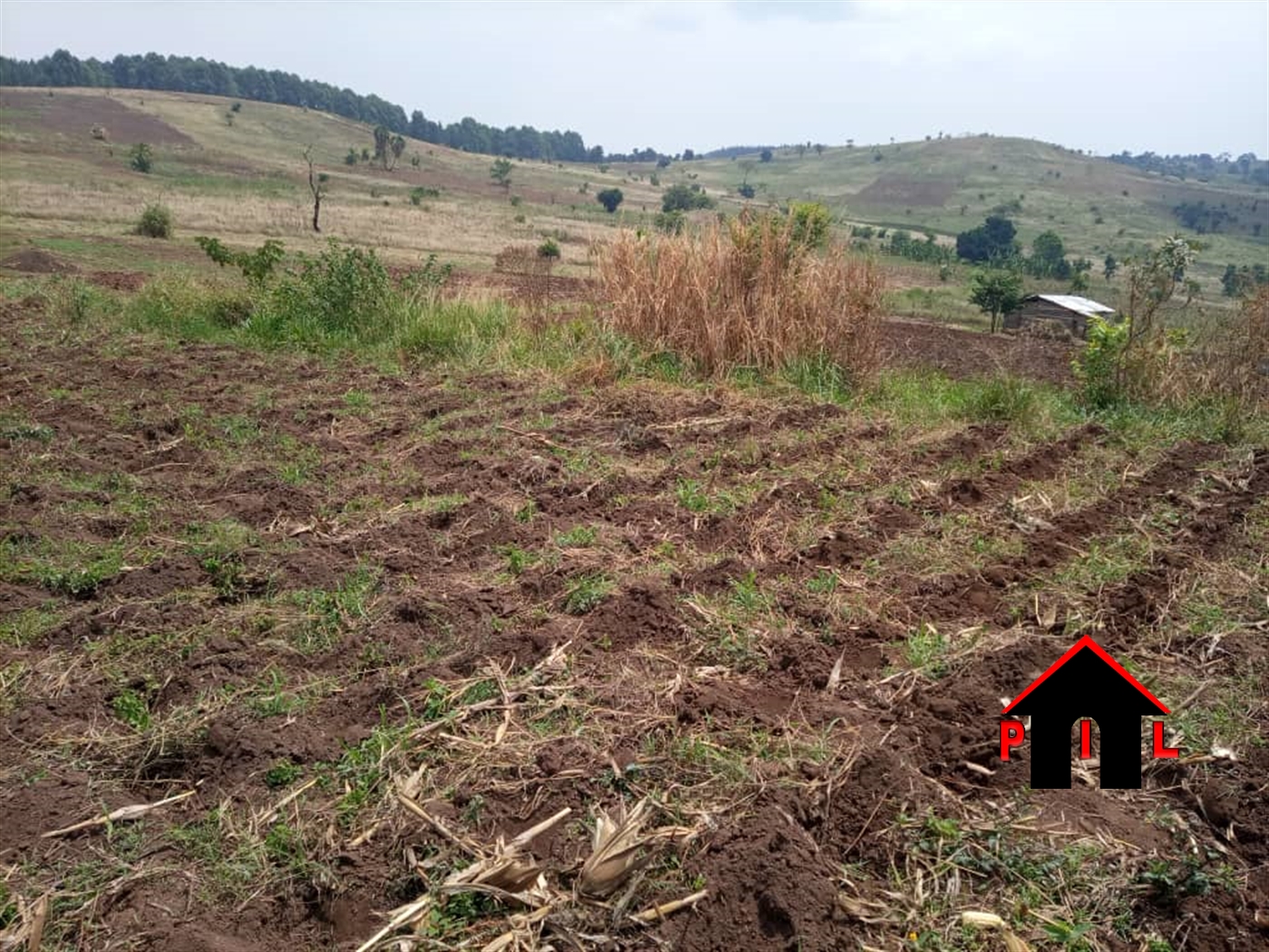 Agricultural Land for sale in Kassanda Mubende