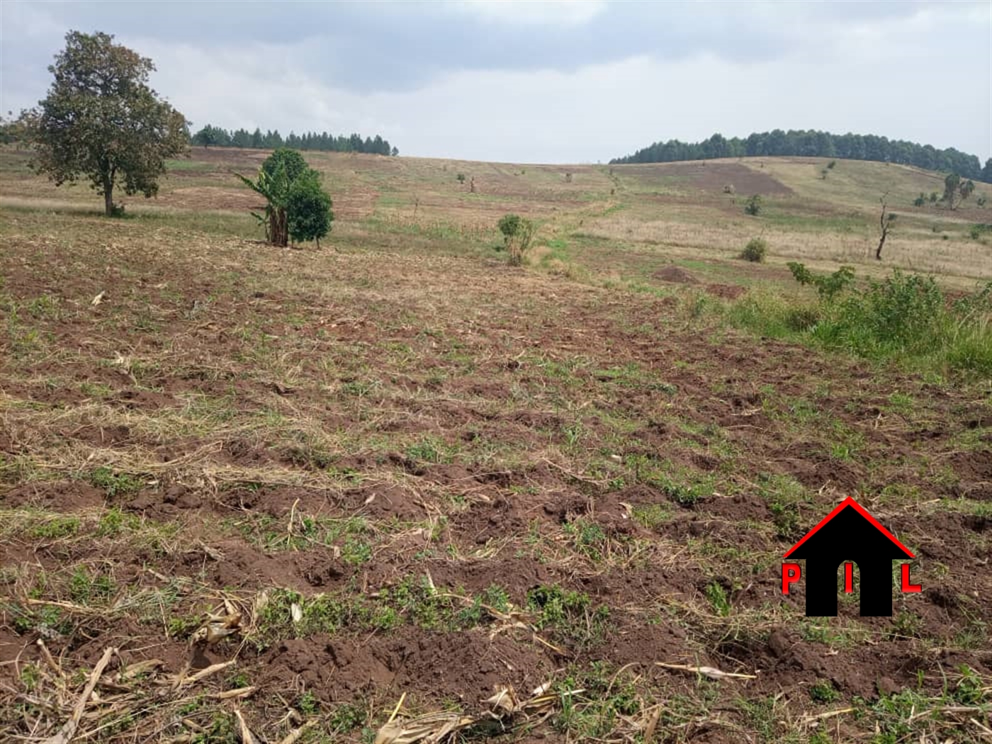 Agricultural Land for sale in Kassanda Mubende