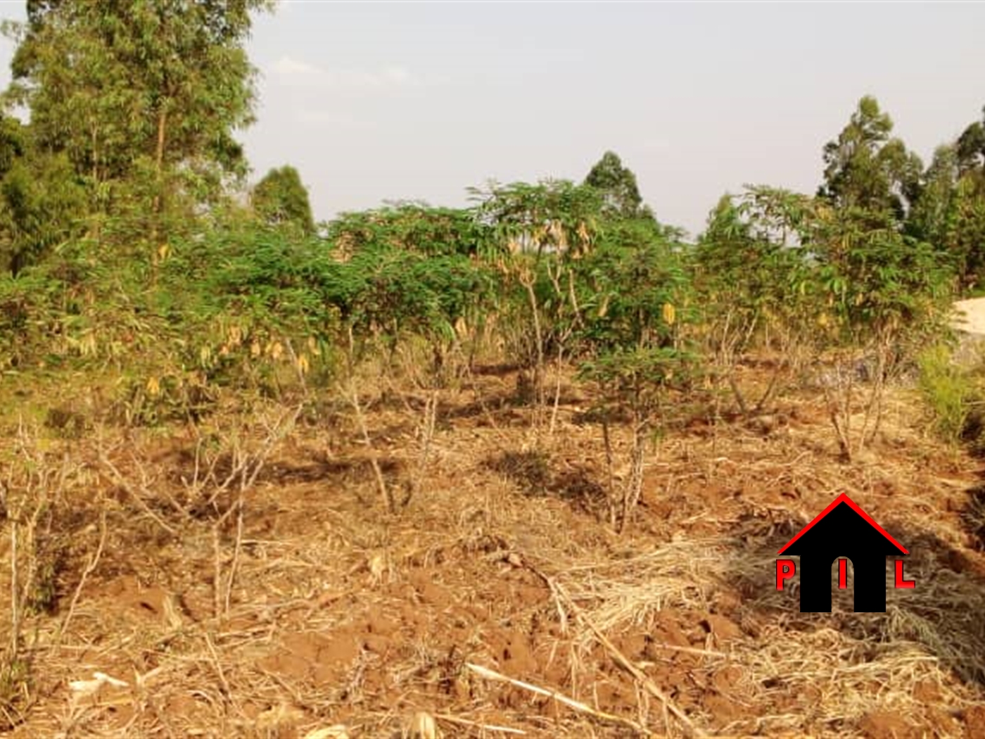 Residential Land for sale in Karugagama Mbarara