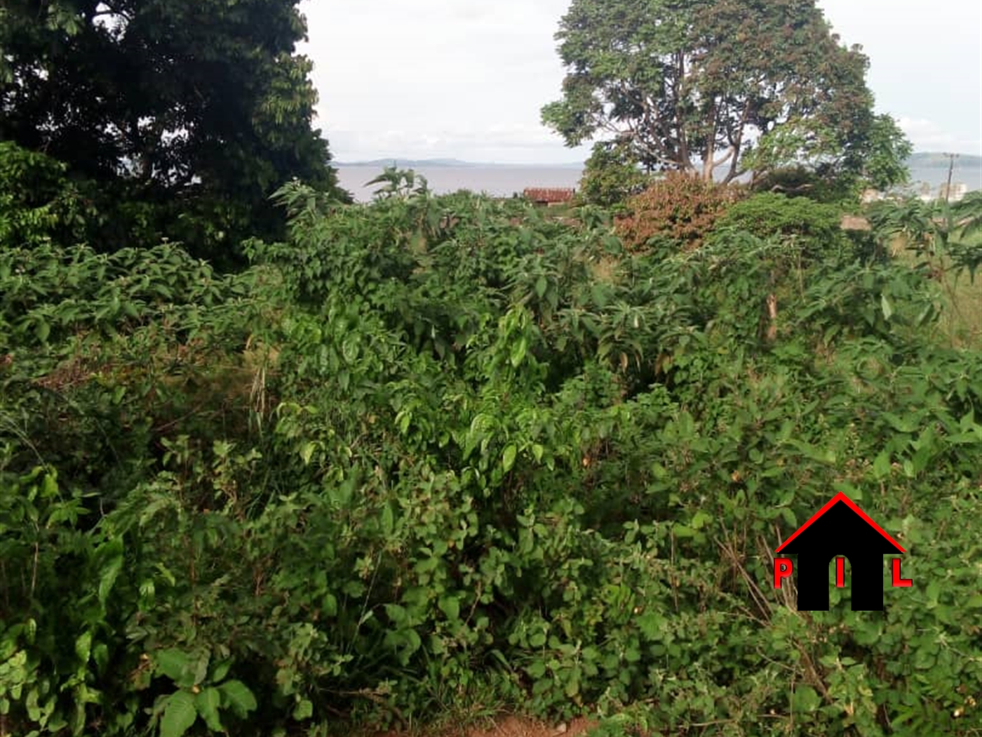 Agricultural Land for sale in Kigalama Mityana