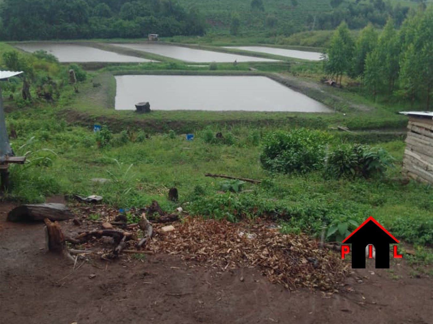 Agricultural Land for sale in Bekiina Mityana