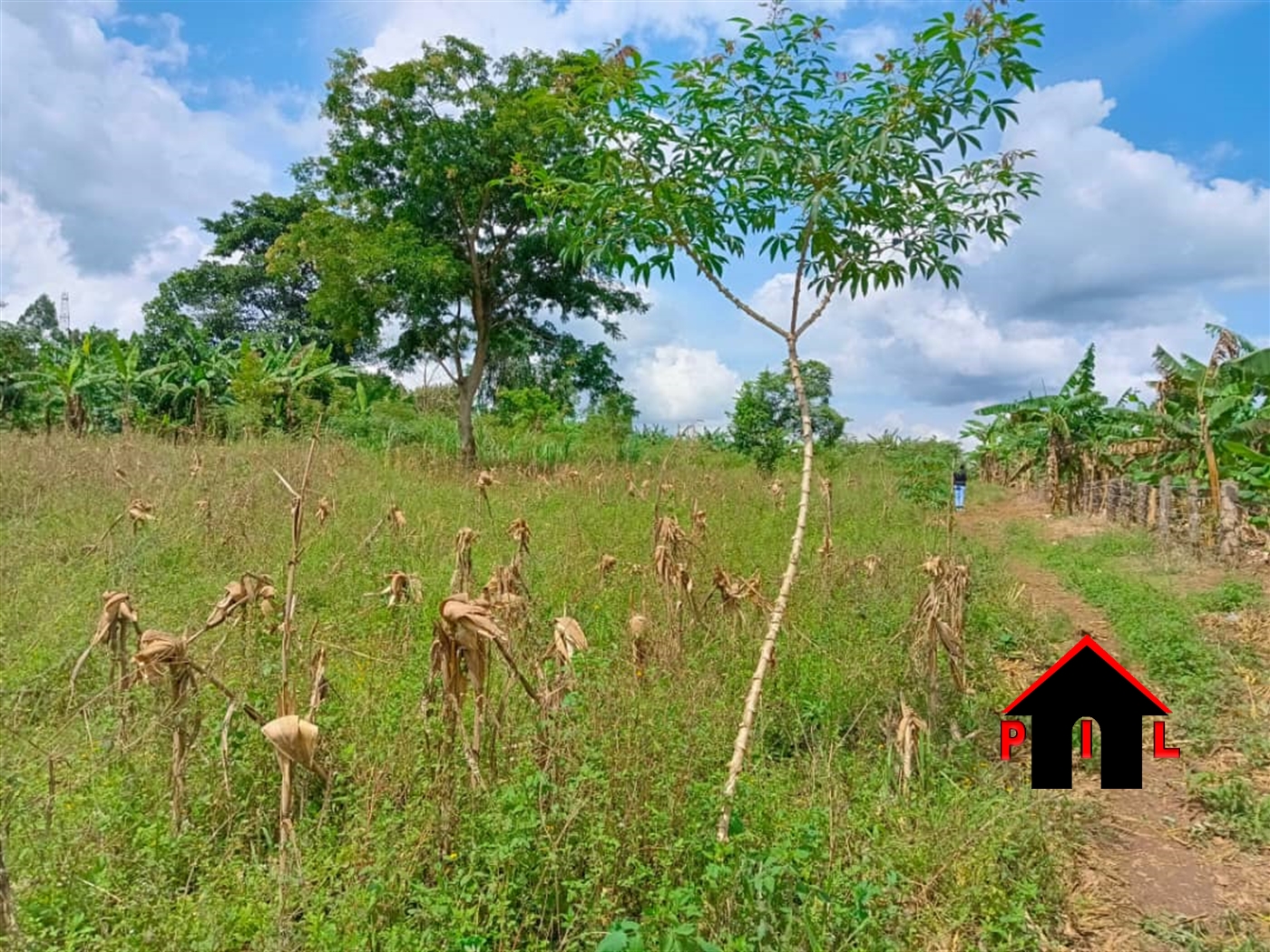 Commercial Land for sale in Mpoma Mukono