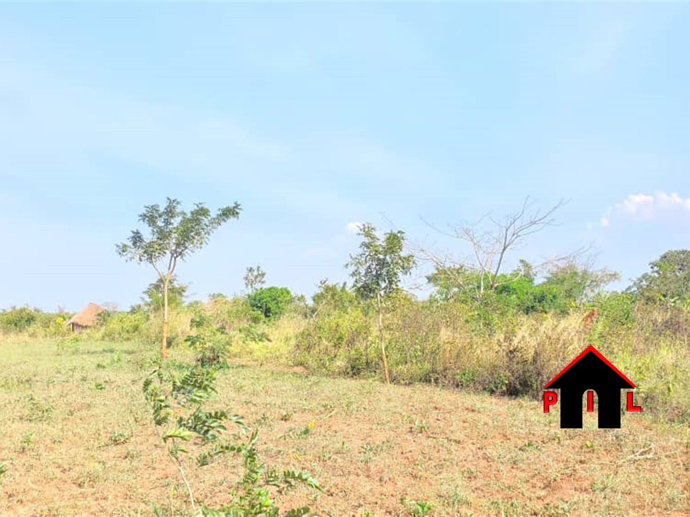 Agricultural Land for sale in Kakooge Nakasongola