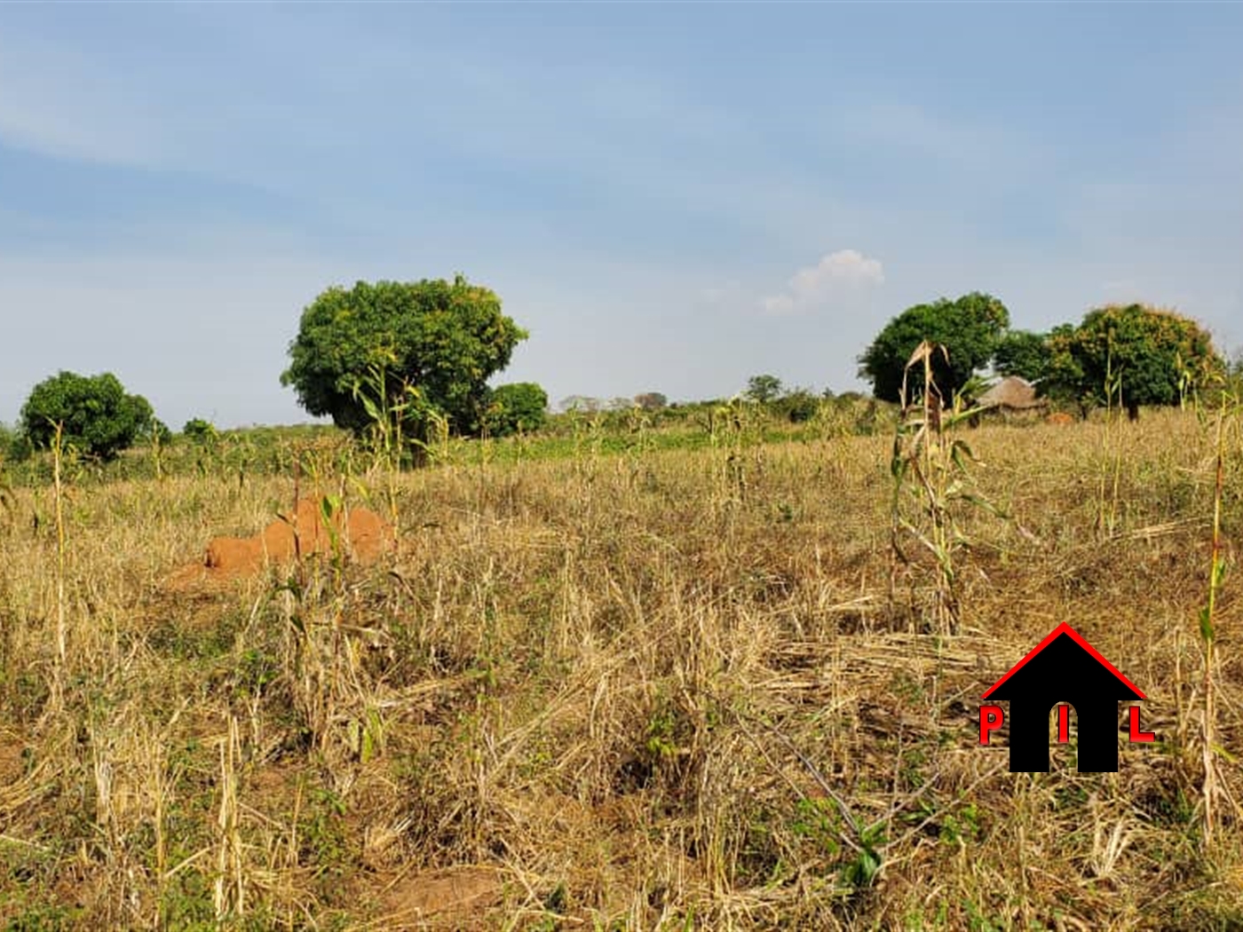 Agricultural Land for sale in Kakooge Nakasongola