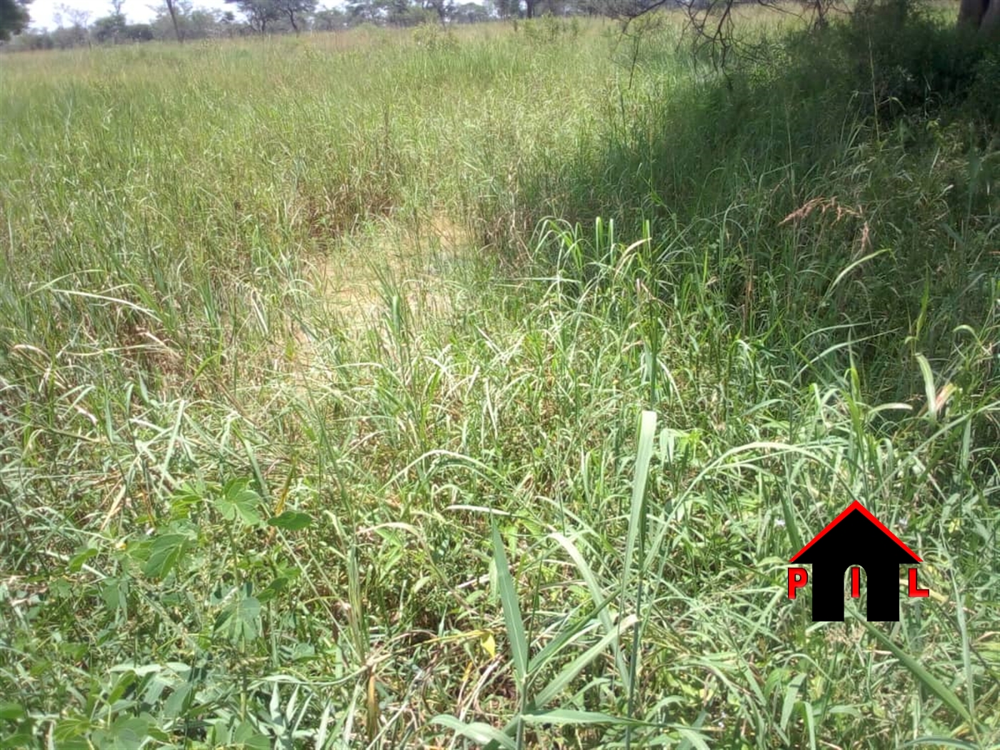 Agricultural Land for sale in Amuda Nabilatuk