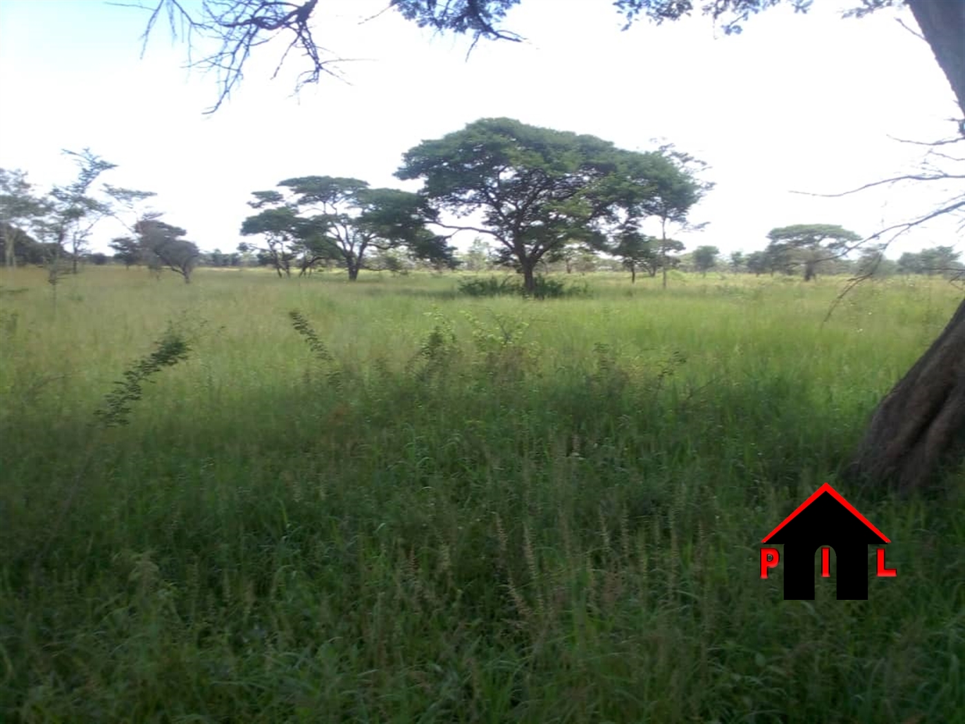Agricultural Land for sale in Amuda Nabilatuk