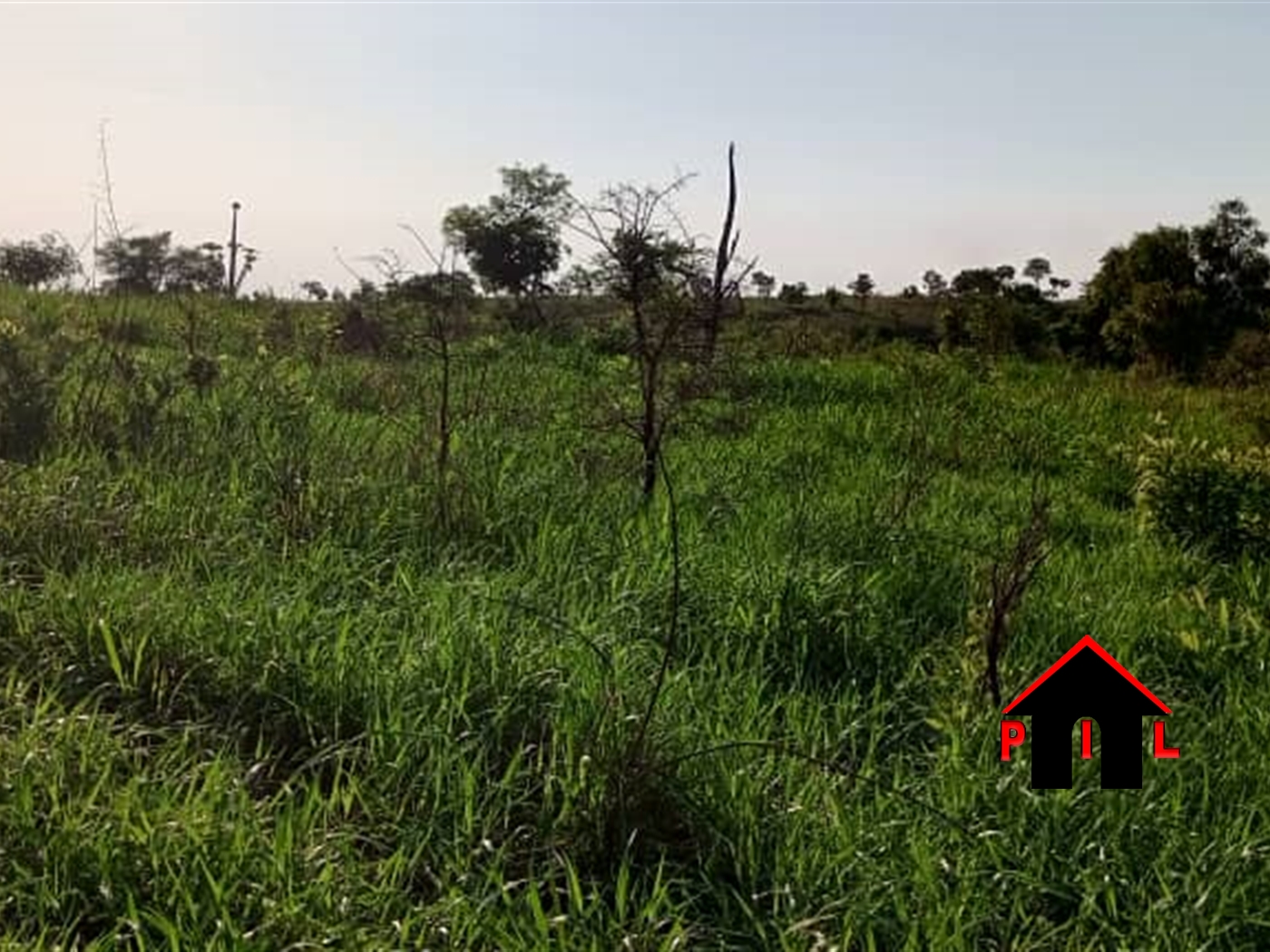 Agricultural Land for sale in Ayugi Amuru