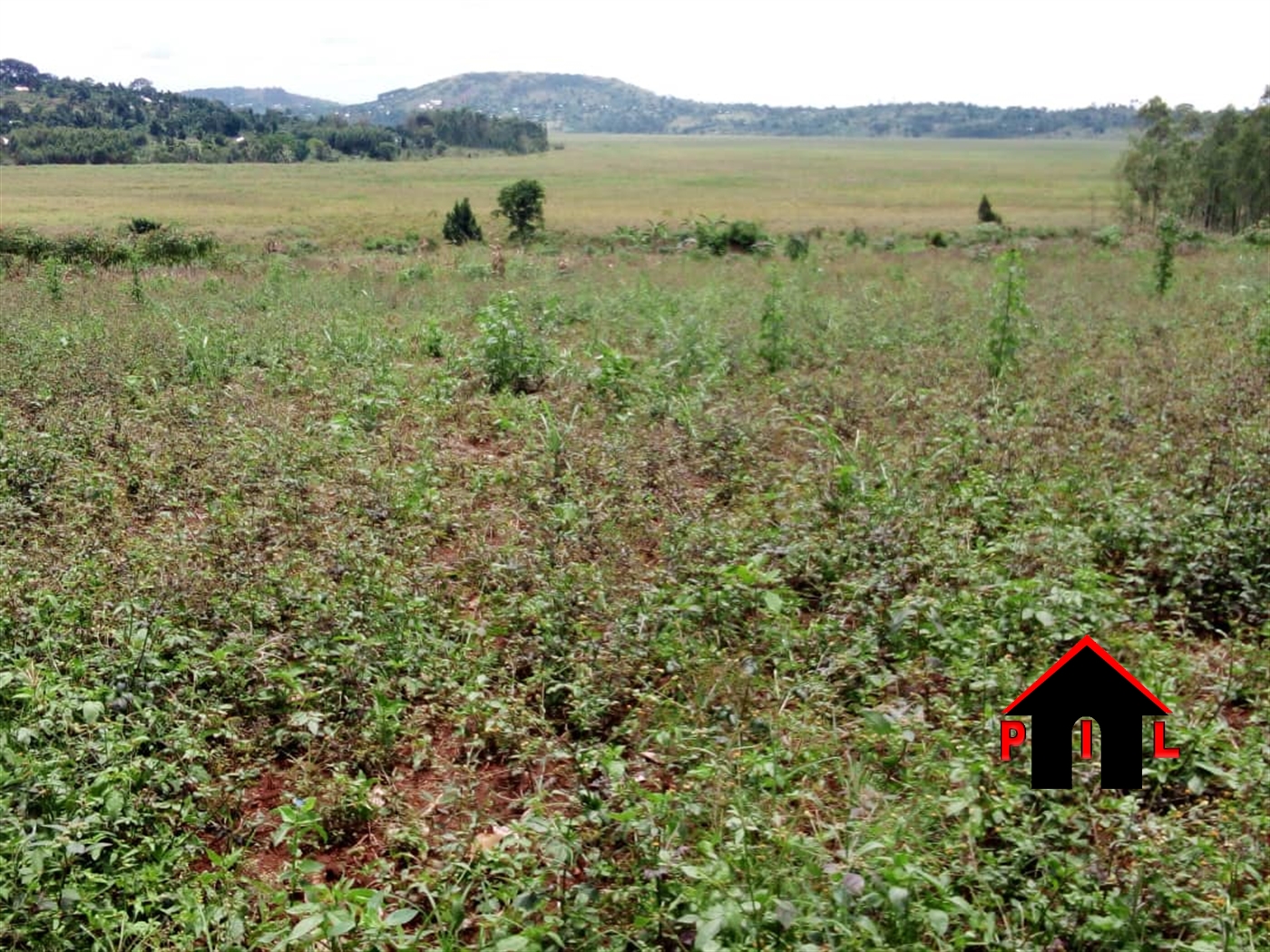 Agricultural Land for sale in Kabila Mpigi