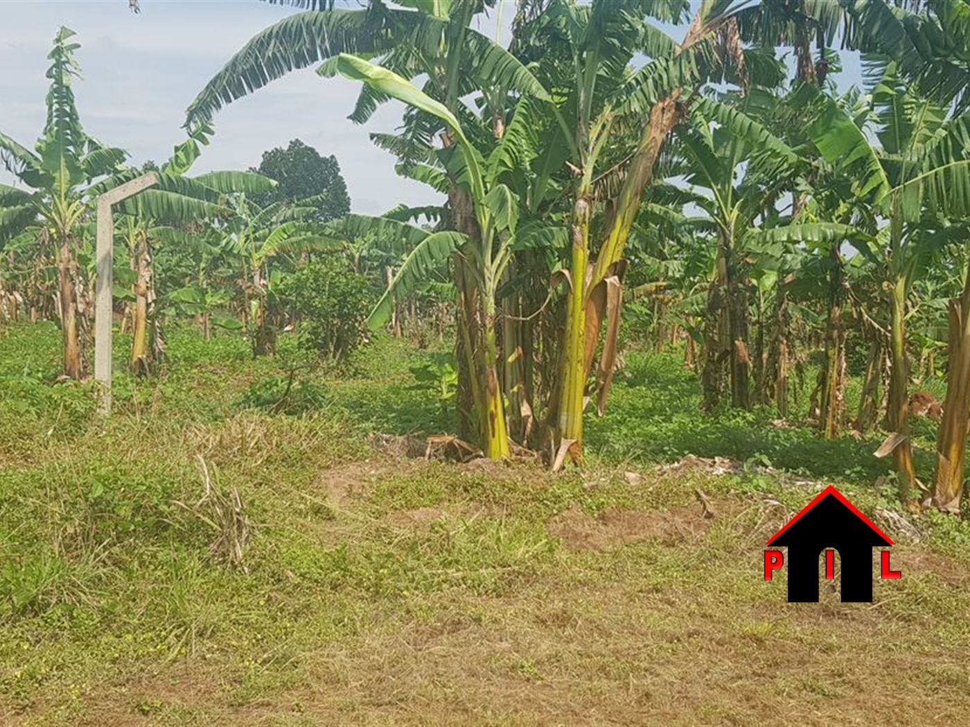 Commercial Land for sale in Mwelerwe Wakiso