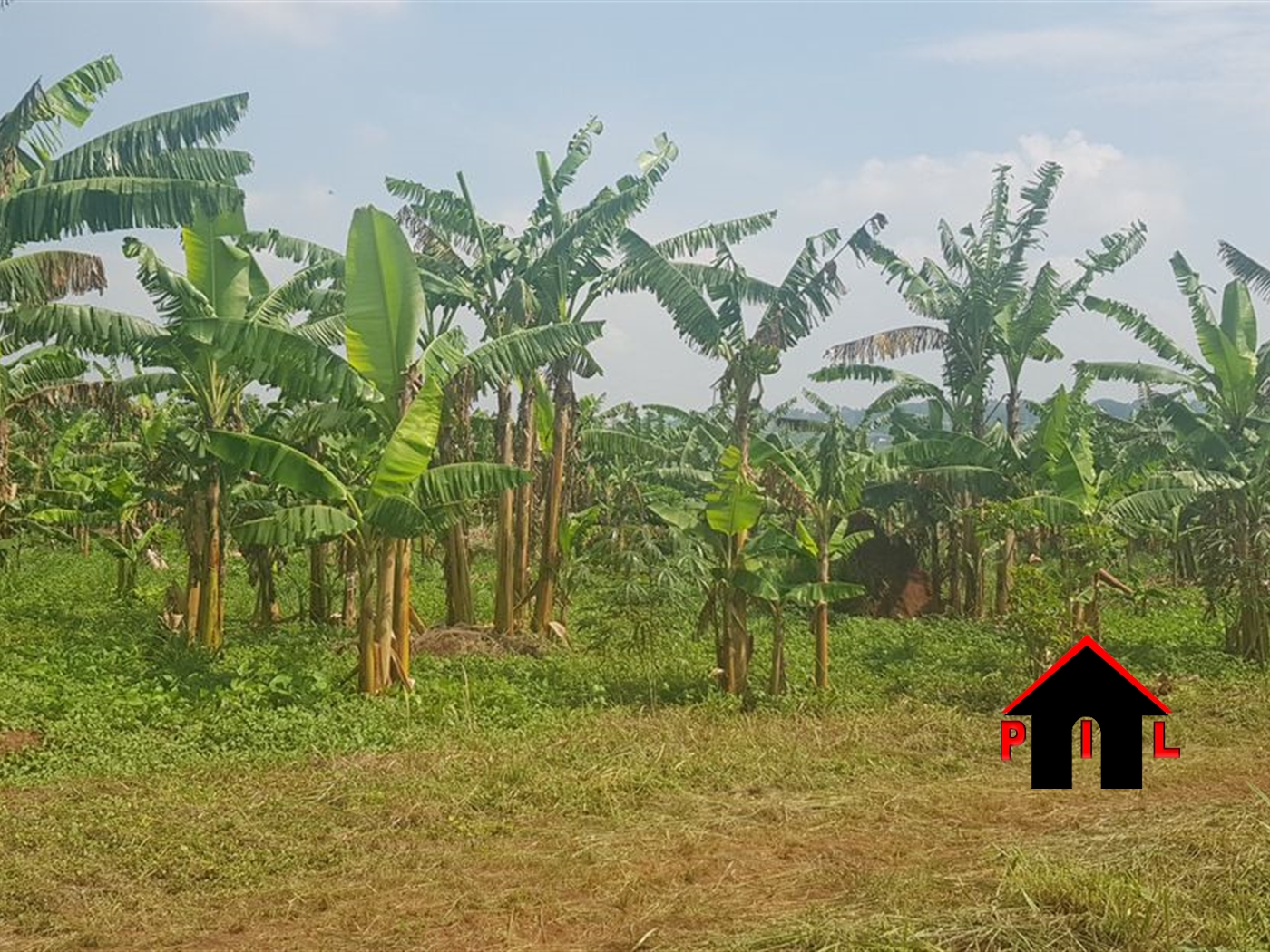 Commercial Land for sale in Mwelerwe Wakiso
