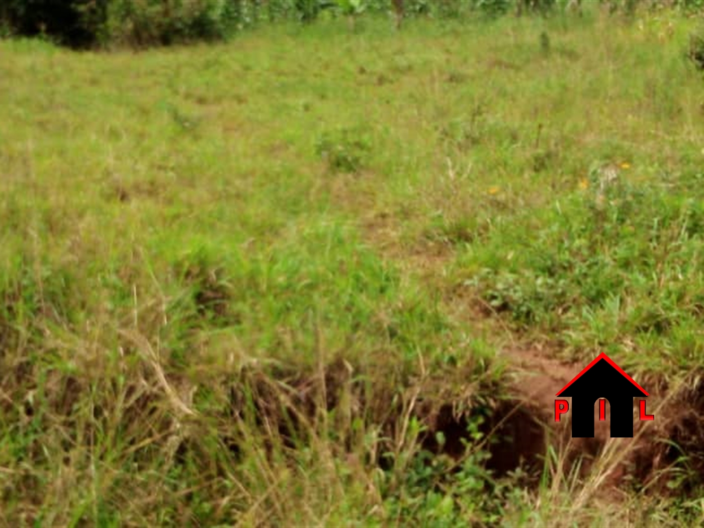 Residential Land for sale in Katera Mbarara