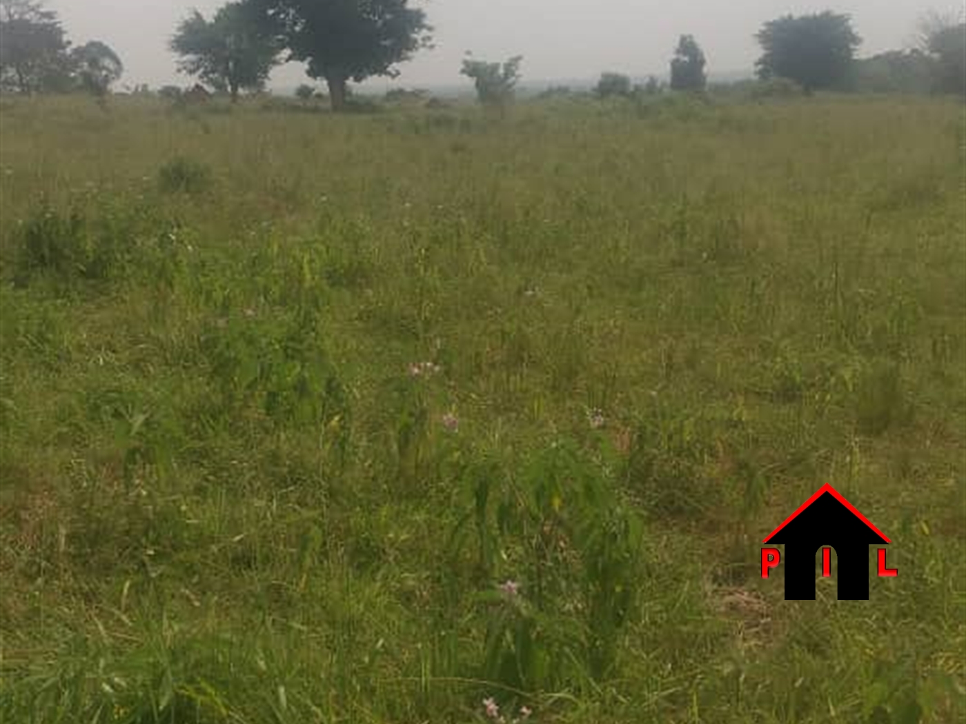 Agricultural Land for sale in Kindudula Luweero