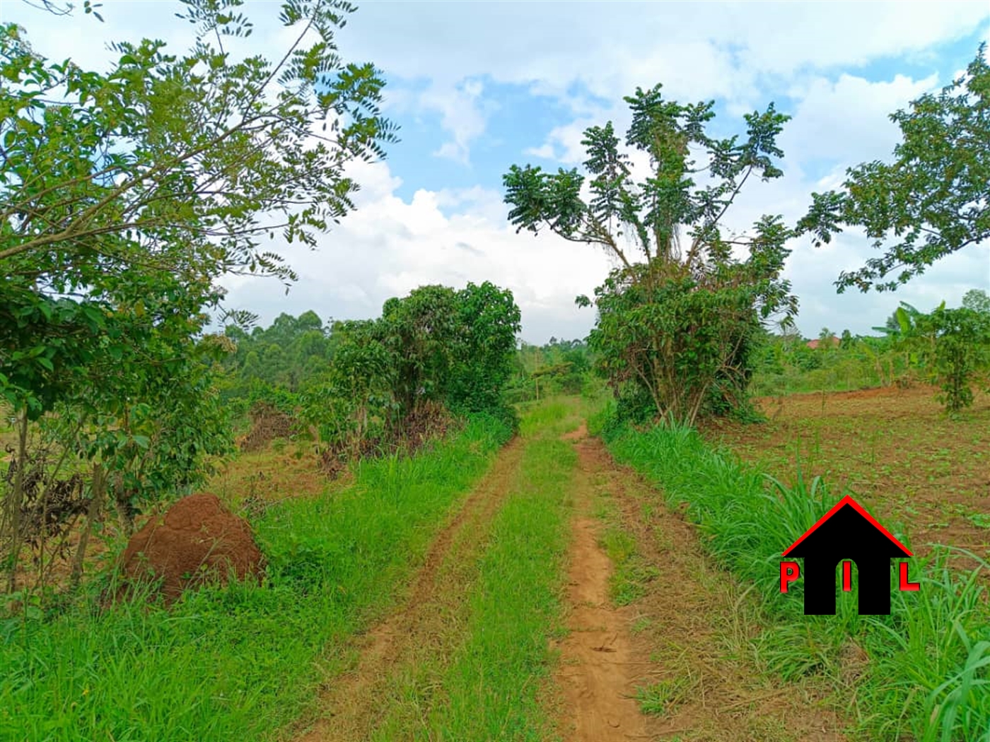 Commercial Land for sale in Kasayi Mukono
