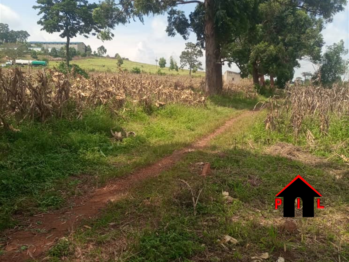 Commercial Land for sale in Walusubi Mukono
