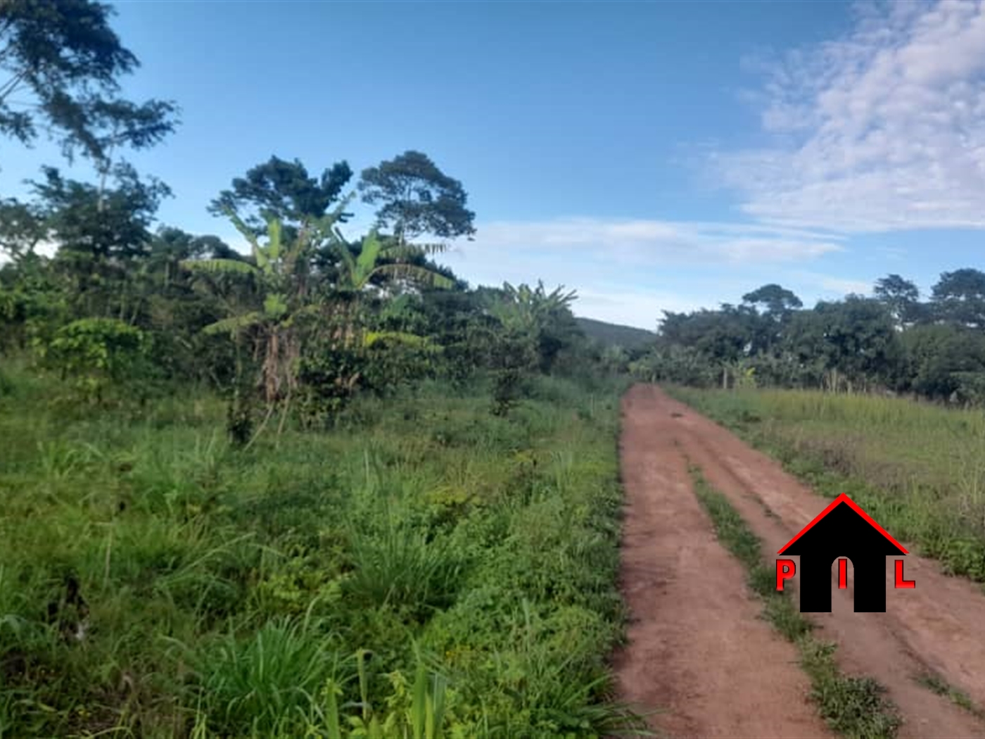 Agricultural Land for sale in Kakuuto Luweero