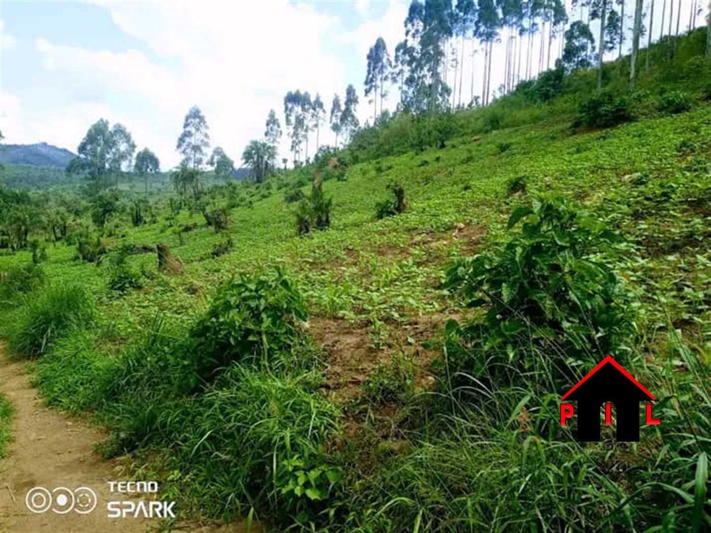 Agricultural Land for sale in Matoojo Kyegegwa