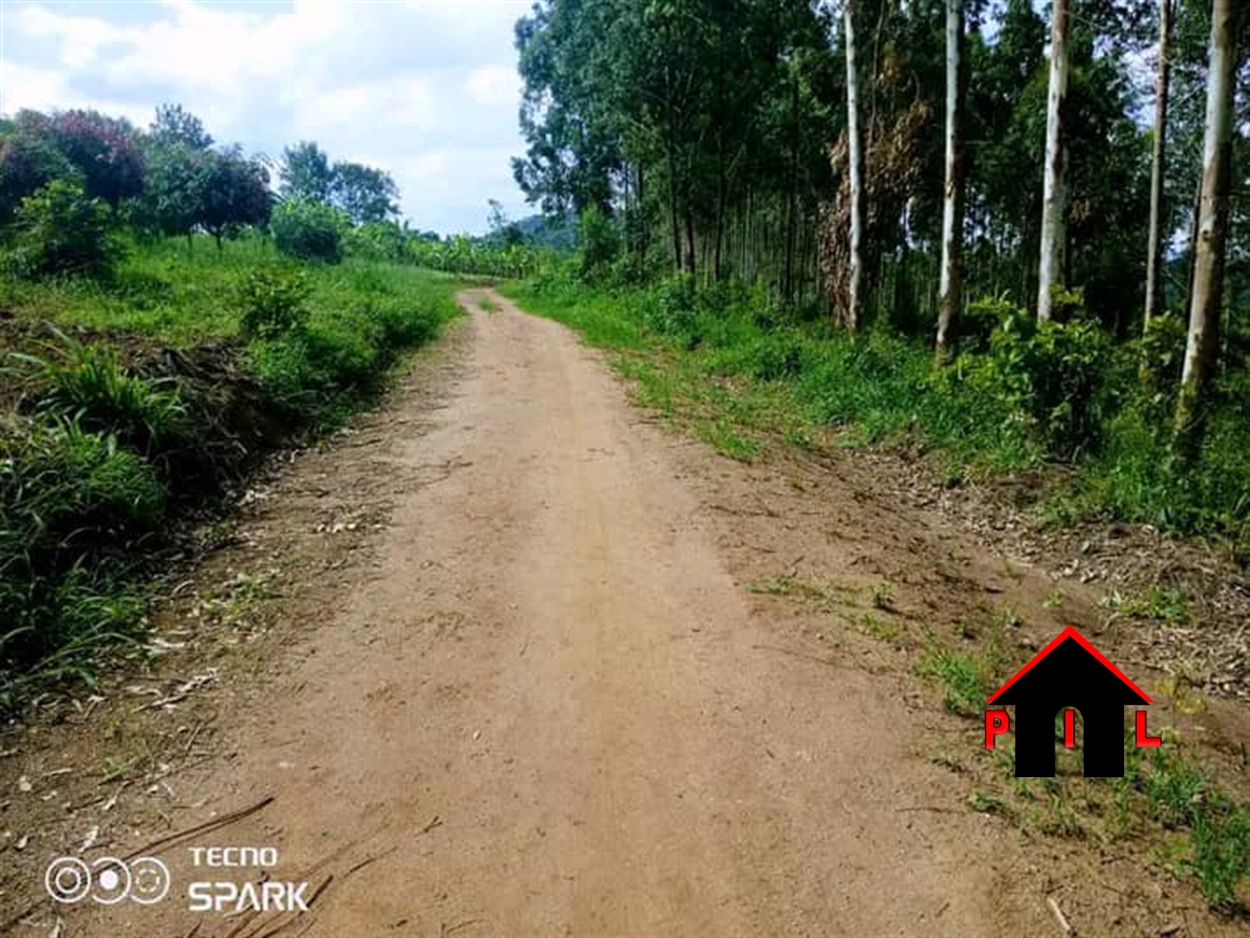 Agricultural Land for sale in Matoojo Kyegegwa