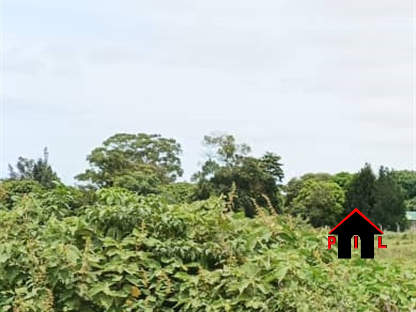 Agricultural Land for sale in Birongo Kalungu