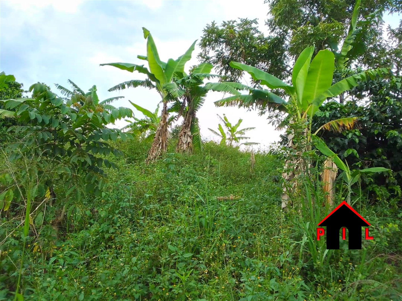 Commercial Land for sale in Butoolo Mpigi