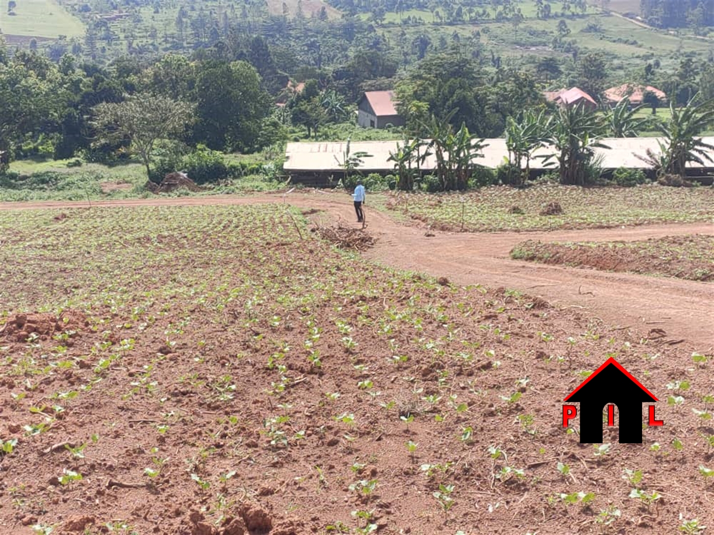 Residential Land for sale in Zziba Wakiso