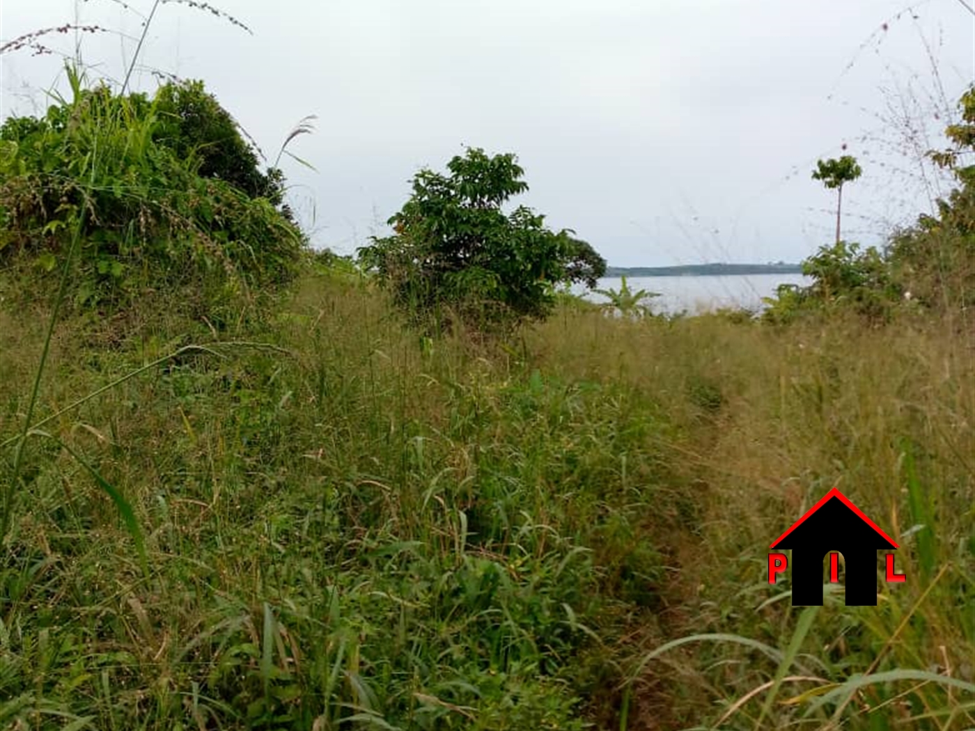 Agricultural Land for sale in Muyubye Buyikwe