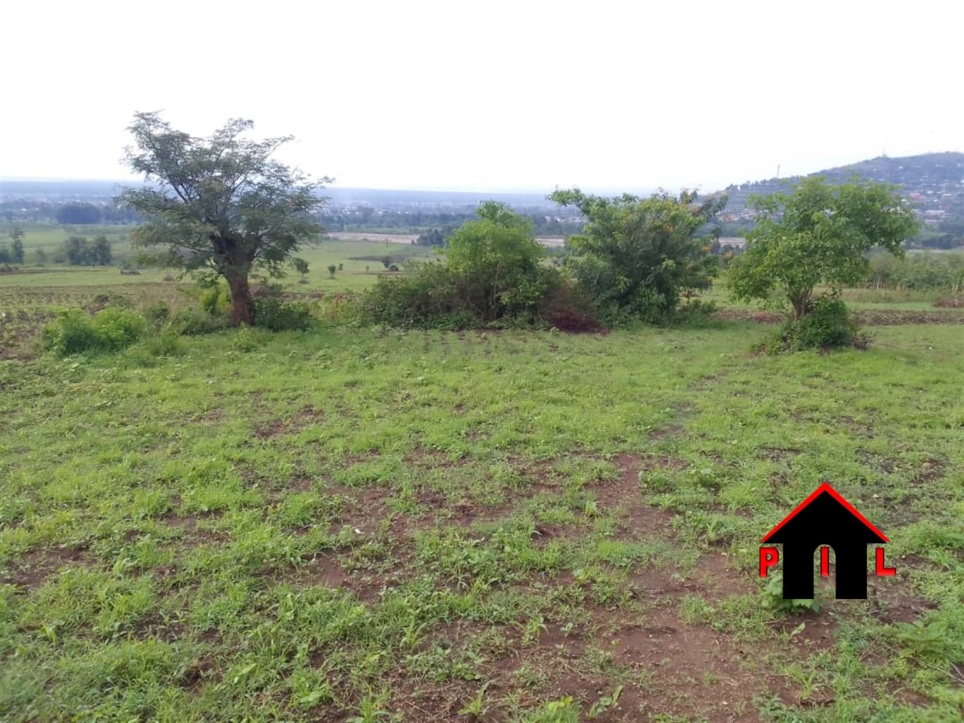 Agricultural Land for sale in Bwera Kaseese