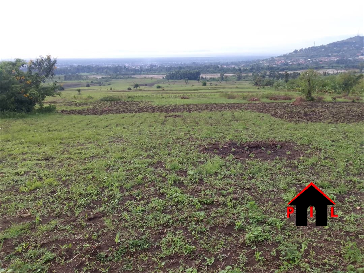 Agricultural Land for sale in Bwera Kaseese