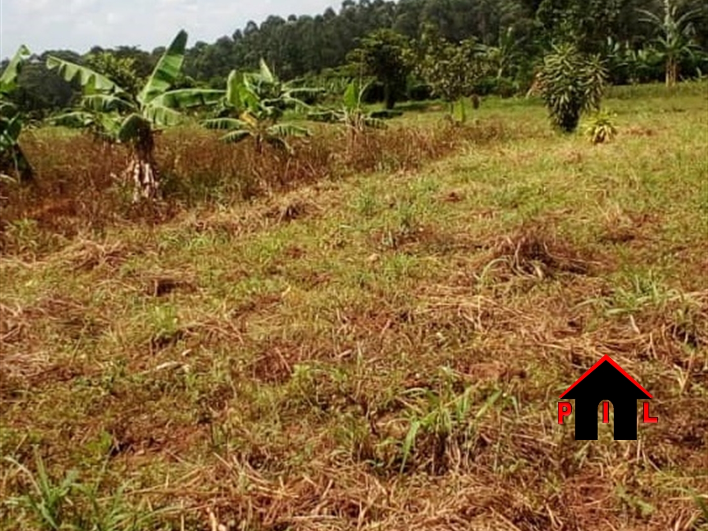 Agricultural Land for sale in Kidaama Luweero
