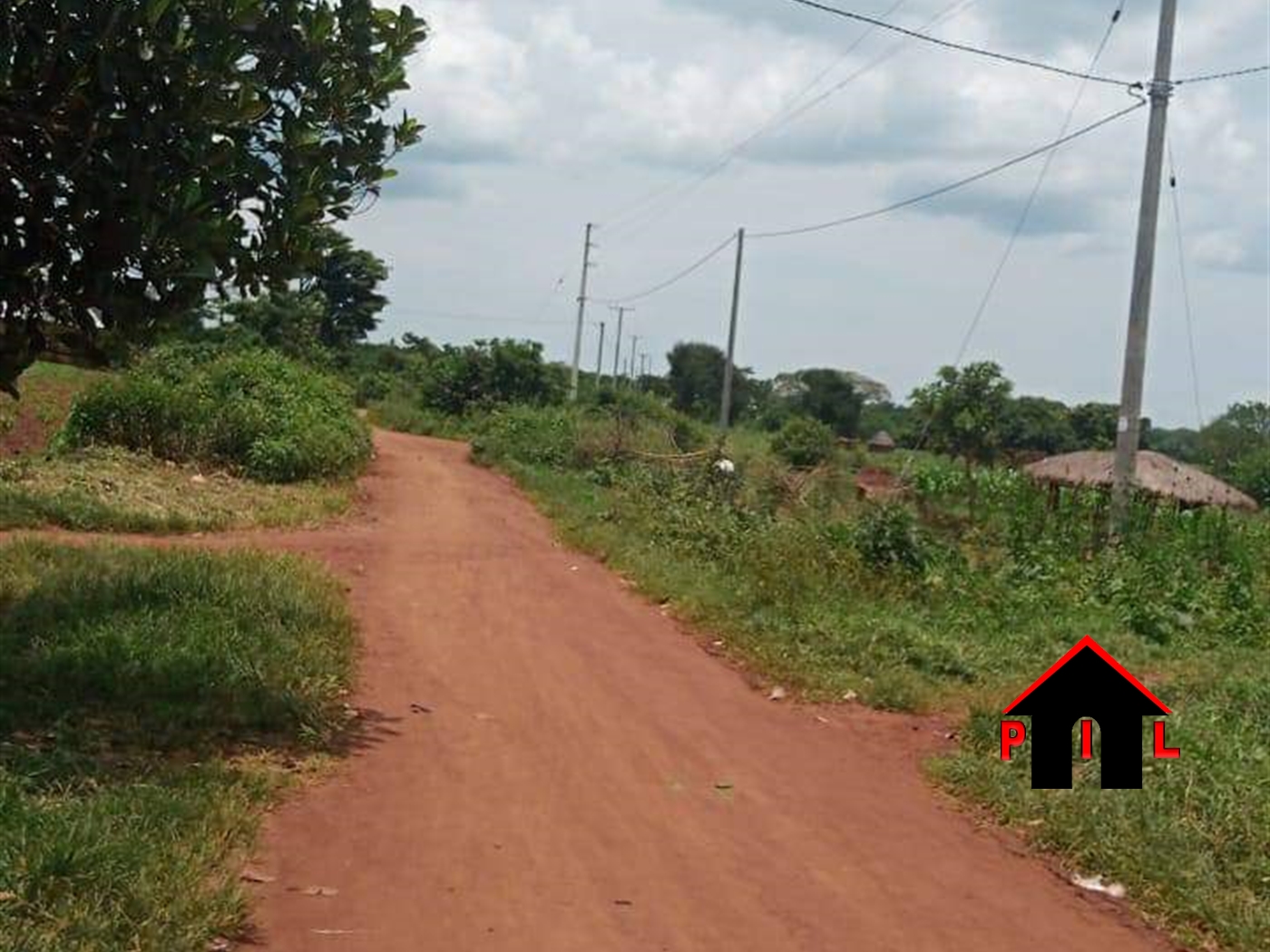Agricultural Land for sale in Kakooge Nakasongola