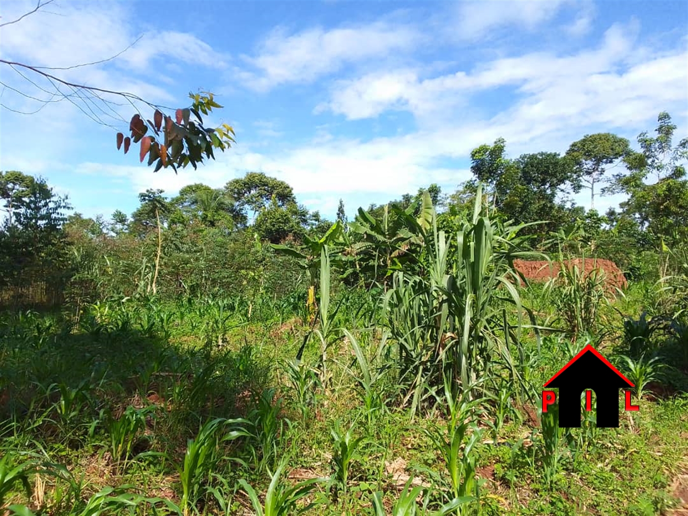 Agricultural Land for sale in Lwemwedde Wakiso