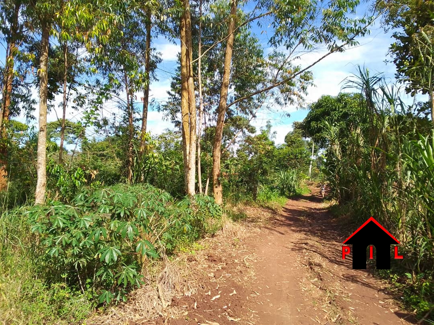 Agricultural Land for sale in Lwemwedde Wakiso